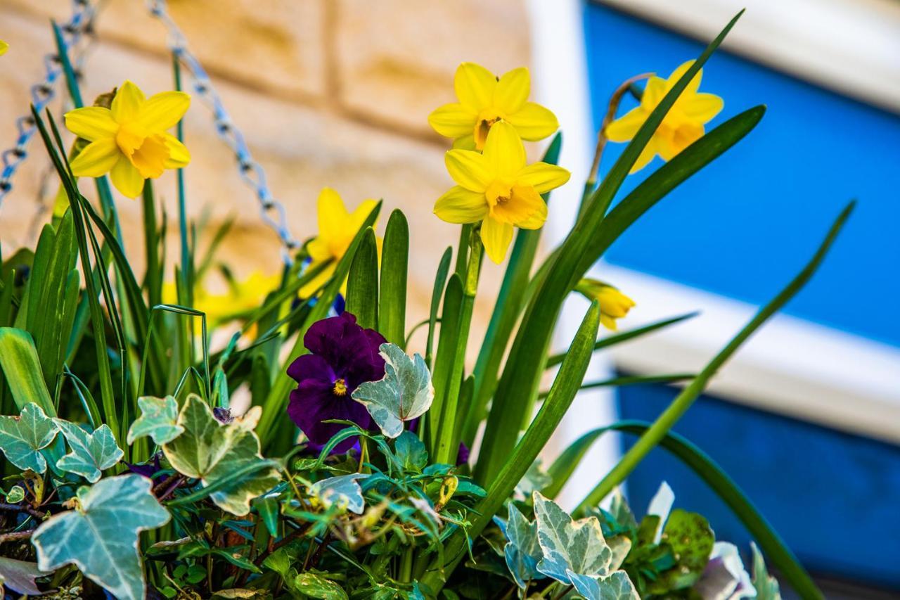 Buxton Centre Cosy Cottage With Free Secure Parking 외부 사진